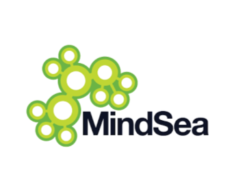 Mindsea mobile app development company