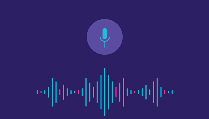 Voice Activated Interface Design
