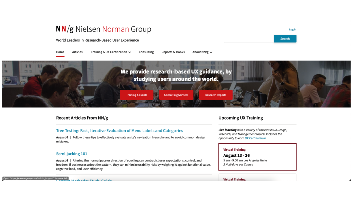 Nielsen UX research firm