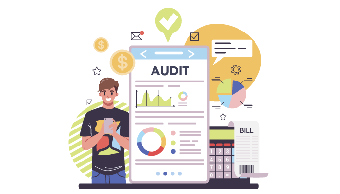 Who conducts a ux audit