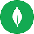 MongoDB