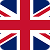 Flag Logo