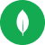 MongoDB